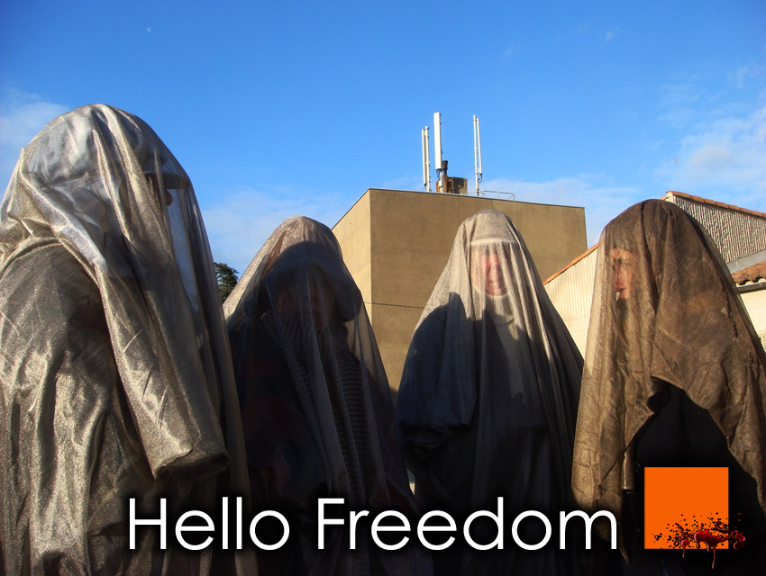EHS_Hello_Freedom_Veil_Voile_Protection_CEM_EMF_France
