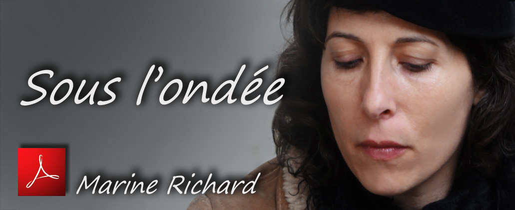 Redimensionnée à 39% (1031 x 420) - Cliquez pour agrandir <b>...</b> - Marine_Richard_Sous_l_ondee_EHS_France_04_03_2012