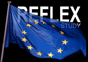 Reflex_Study