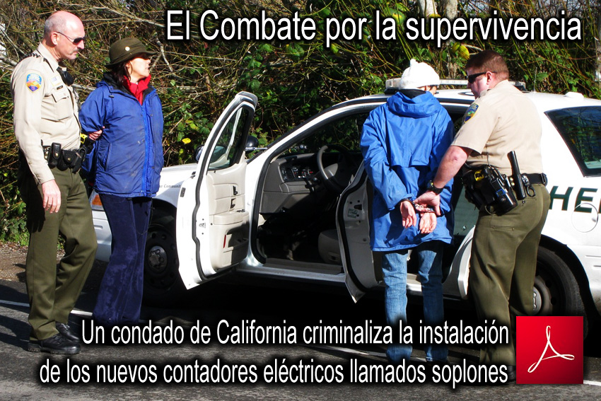 Un_condado_de_California_criminaliza_la_instalacion_de_los_nuevos_contadores_electricos_llamados_Soplones_news_NYT_05_01_2010